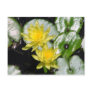Botanical Gardens Post Cards