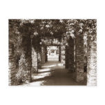 botanical pathway post card