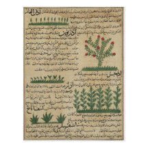 Botanical plants, illustration from 'The Postcards