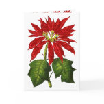 Botanical Poinsettia Blank Card