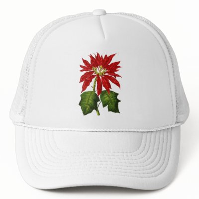 Botanical Poinsettia Cap Mesh Hats by Jaenne