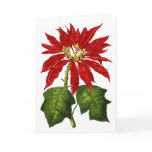 Botanical Poinsettia Greeting Card