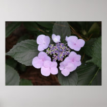 Botanical Series 133