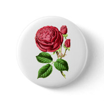 Botanical Tea Rose Buttons