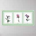 Botanical Trio Floral Poster posters