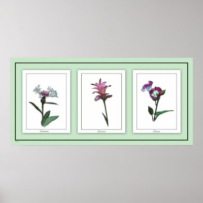 Botanical Trio Floral Poster by debinSC