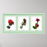 Botanical Trio Floral Poster 2