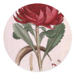 botanicals sticker