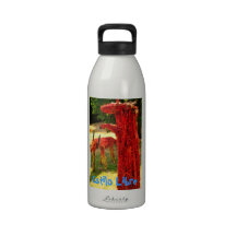 Botella con colorido botella de agua reutilizable