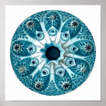 Botryllus polycyclus, Ernst Haeckel