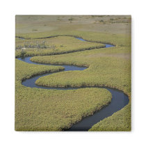 Botswana, Africa. Arial view Okavango river.