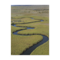 Botswana, Africa. Arial view Okavango river.