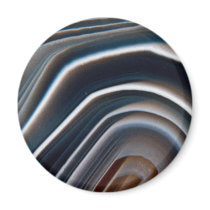 Botswana agate refrigerator magnet