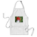 Bottle-Brush Callistemon 1 Apron