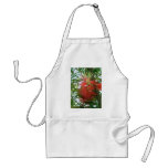 Bottle-Brush Callistemon 4 Apron