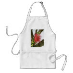 Bottle-Brush Callistemon 8 Apron