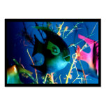 Bottle Fish~1 by jGibney ATC ~ Open Edition 2009 Business Card Template