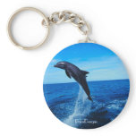 Bottle nose dolphin key chains