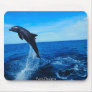 Bottle nose dolphin mouse mats