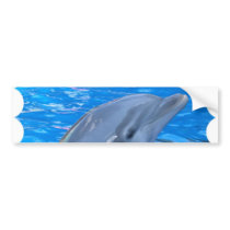 Bottlenose Dolphin Bumper Sticker