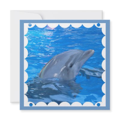 Bottlenose Dolphin Invitation by WildlifeAnimals