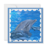 Bottlenose Dolphin Invitation
