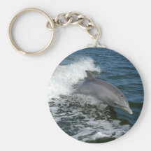 Bottlenose Dolphin Key Chain