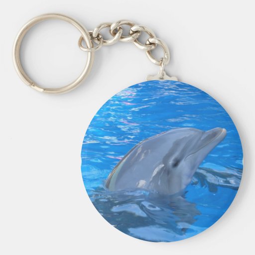 Bottlenose Dolphin Keychain