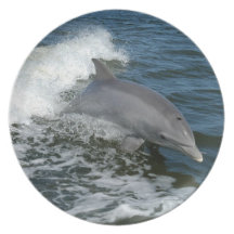 Bottlenose Dolphin Party Plates