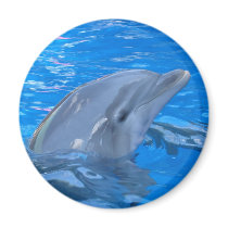 Bottlenose Dolphin Round Magnet