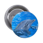 Bottlenose Dolphin Round Pin