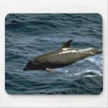Bottlenose whale mousepads