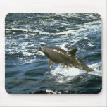 Bottlenose whale mousepads