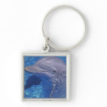 Bottlenosed Dolphin, Tursiops Truncatus Keychain