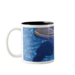 Bottlenosed Dolphin, Tursiops Truncatus Coffee Mugs