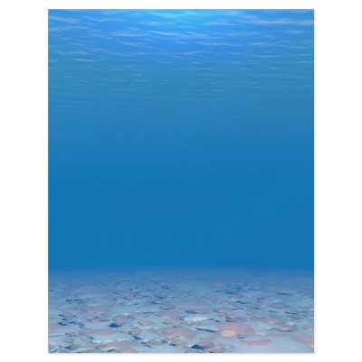 Bottom of The Sea Personalized Flyer by flyingdisc