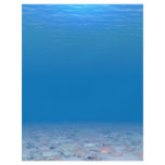 Bottom of The Sea flyers