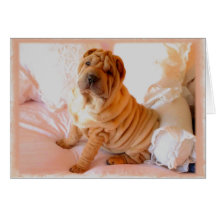 Boudoir Card