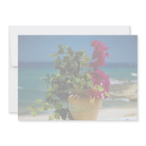 Bougainvillea, Baja, Mexico Custom Invitations