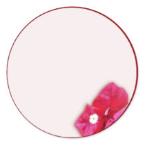 Bougainvillea Blossom