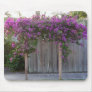 Bougainvillea Flower Mousepad