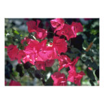 Bougainvillea Flowers Personalised Invites