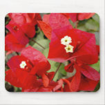 Bougainvillea mouse pad
