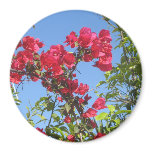 Bougainvillea Products Magnets