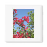 Bougainvillea Products Refrigerator Magnet