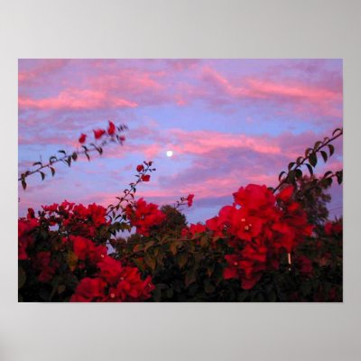Bougainvilleas and Full Moon at Sunset Print by truestar
