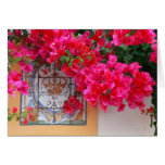 Bougainvilleas Greeting Card