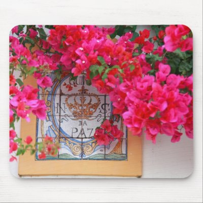 Bougainvilleas Use Pads by gavila_pt