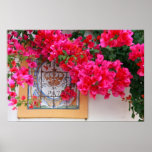 Bougainvilleas Posters