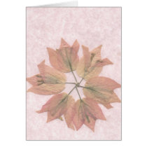 Bouganvilla Greeting Card